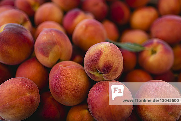 High angle view of apricots for sale at market