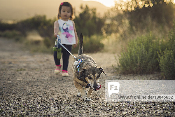 Mädchen in voller Länge mit Hund beim Spazierengehen auf dem Feld