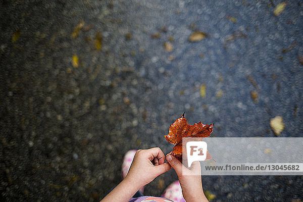 Cropped image of girl holding maple leaf while standing on wet road