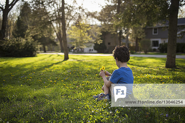 Boy holding flowers while sitting on grassy field in backyard