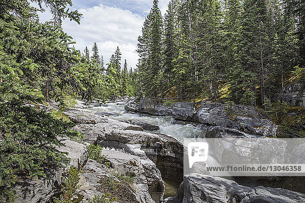 Landschaftliche Ansicht des Flusses  der im Jasper-Nationalpark zwischen Felsen im Wald fließt