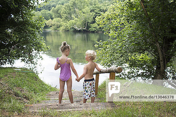 High angle view of siblings holding hands while standing on steps against lake