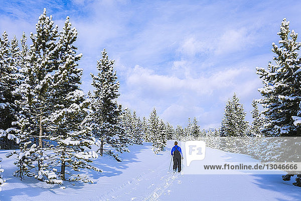 Rückansicht einer Frau  die auf einem schneebedeckten Feld vor bewölktem Himmel wandert
