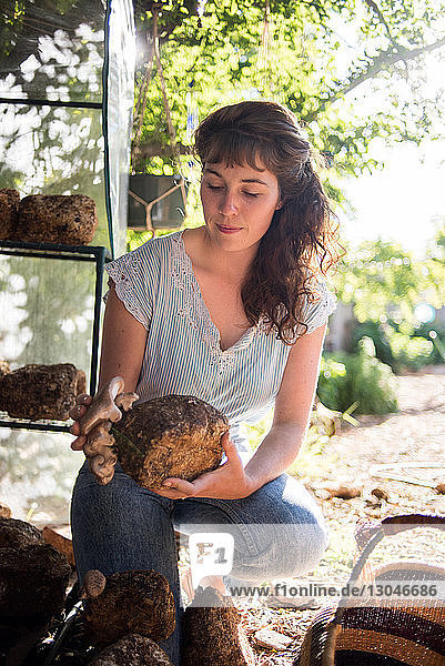 Frau analysiert Pilze auf Felsen  während sie auf dem Bauernhof hockt