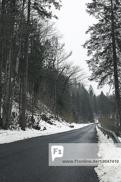 Leere Landstraße zwischen Bäumen im Wald im Winter