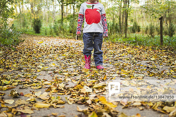Low section of girl standing on field covered with fallen autumn leaves
