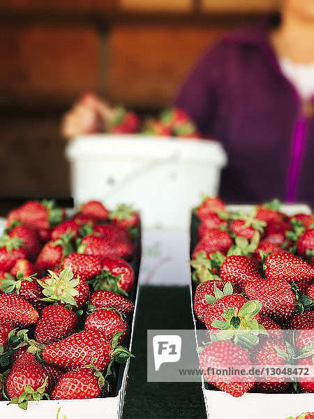 Fresh strawberries in containers for sale at market