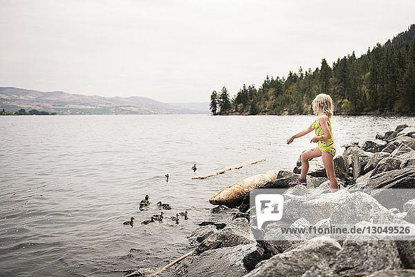 Side view of girl looking at ducks swimming on lake while standing on rocks against sky