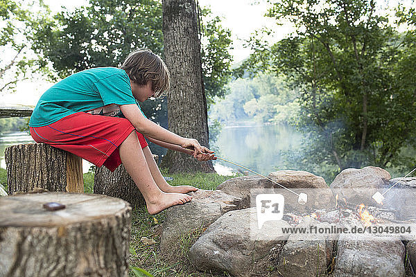 Seitenansicht eines Jungen  der am Lagerfeuer Marshmallows röstet  während er auf einem Baumstumpf auf dem Campingplatz sitzt