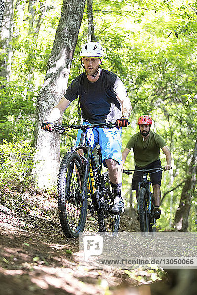 Male friends mountain biking on dirt road at forest