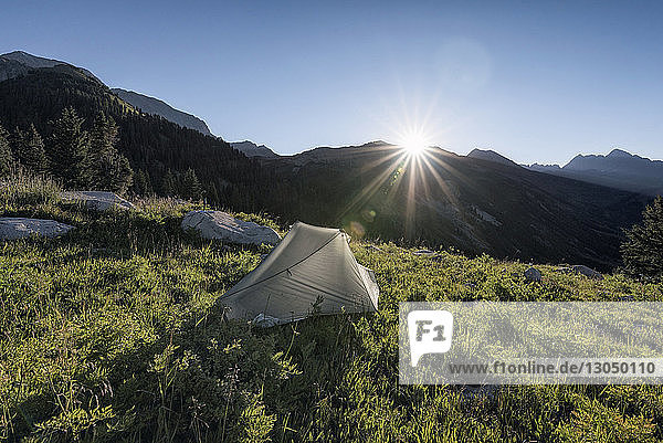 Scenic view of tent on field against clear sky on sunny day