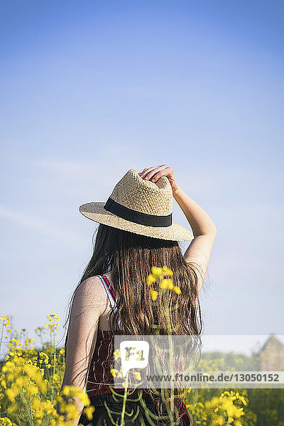 Rückansicht eines Teenager-Mädchens mit Hut  das am sonnigen Tag auf dem Feld vor blauem Himmel steht