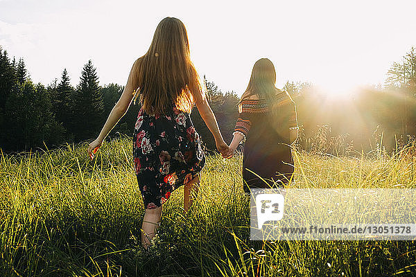 Rückansicht eines lesbischen Paares  das sich bei Sonnenuntergang beim Spaziergang auf einem Grasfeld an den Händen hält