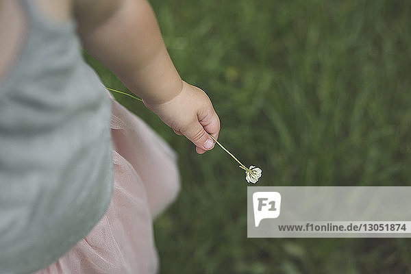 Hochwinkliger Mittelteil eines Mädchens  das eine Blume hält  während es auf einem Feld im Park steht