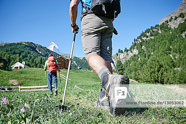 Wanderer auf saftig grünem Feld  Chalets im Hintergrund  Mont Cervin  Matterhorn  Wallis  Schweiz