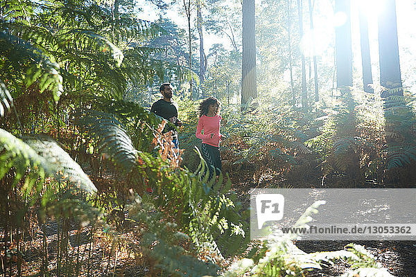 Female and male runners running together through sunlit forest ferns
