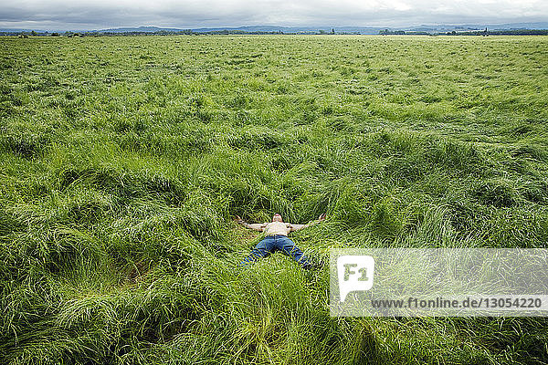 Mann entspannt sich auf Grasfeld