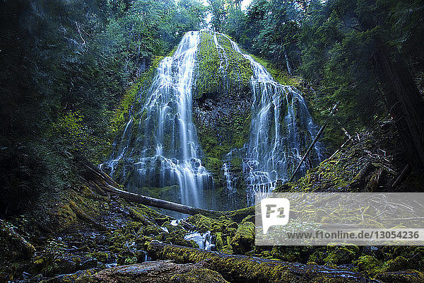 Idyllischer Blick auf Wasserfall im Wald