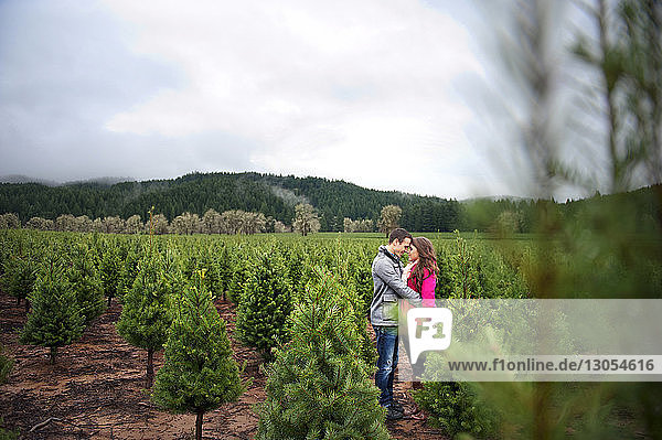 Couple embracing while standing in Christmas tree farm against sky