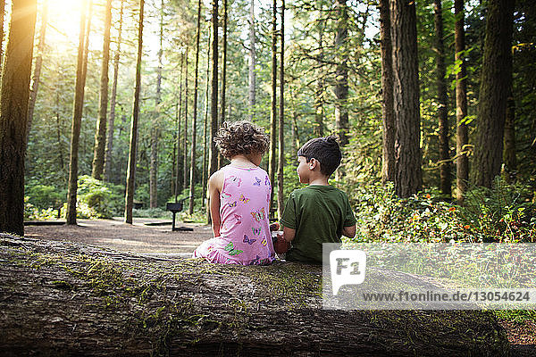 Rückansicht von Kindern  die auf einem umgefallenen Baum im Wald sitzen