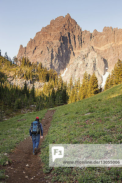 Rear view of hiker walking on pathway towards trees and mountains