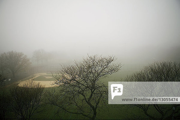 High angle view of bare trees on grassy field during foggy weather