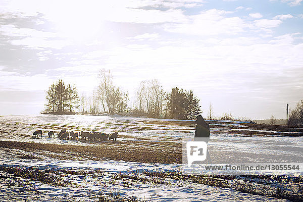 Mann geht am sonnigen Tag auf schneebedecktem Feld