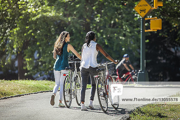 Friends talking while walking with bicycle on road