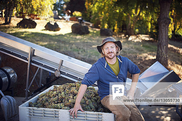 Portrait of smiling male farmer sitting on container with grapes