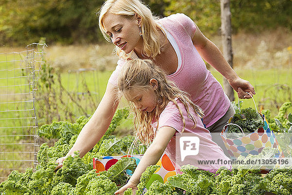 Mother and daughter harvesting vegetables