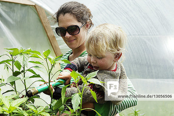 Mutter trägt Sohn beim Gießen von Pflanzen mit Gartenschlauch im Gewächshaus