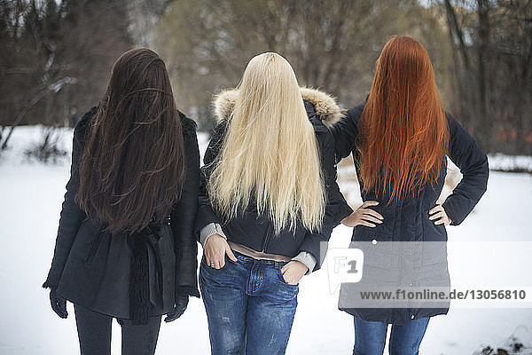Weibliche Freunde bedecken Gesicht mit Haaren auf dem Feld