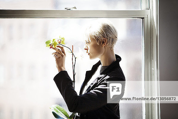 Seitenansicht einer nachdenklichen Frau  die Blumen hält  während sie zu Hause durchs Fenster schaut