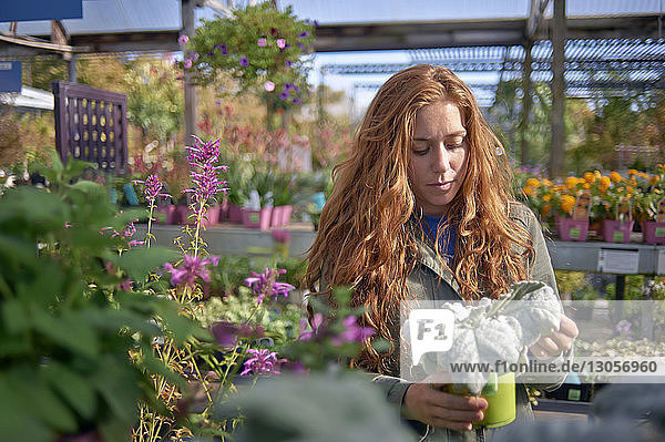 Woman looking at potted plant while standing in plant nursery