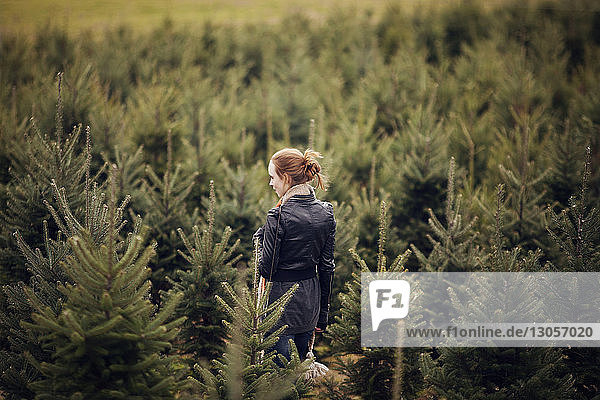 Woman with hand saw looking at trees while walking in pine tree farm