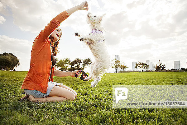 Seitenansicht einer fröhlichen Frau  die mit einem Hund auf einem Grasfeld spielt