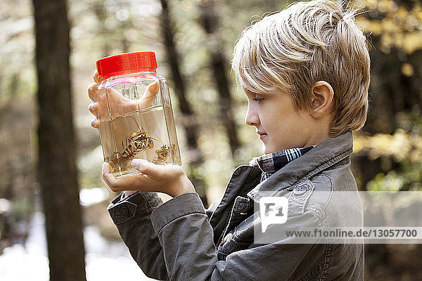 Side view of boy looking at scorpions in jar