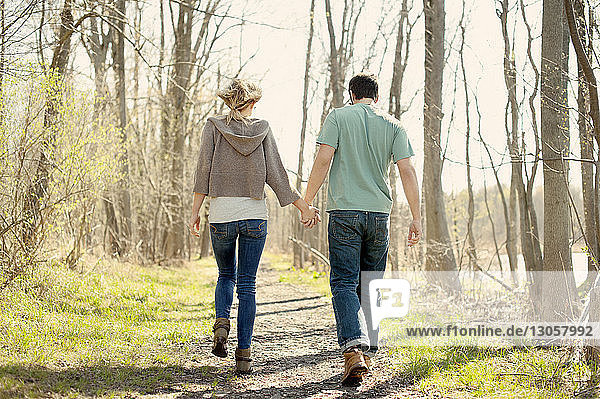 Full length rear view of couple holding hands while walking in forest
