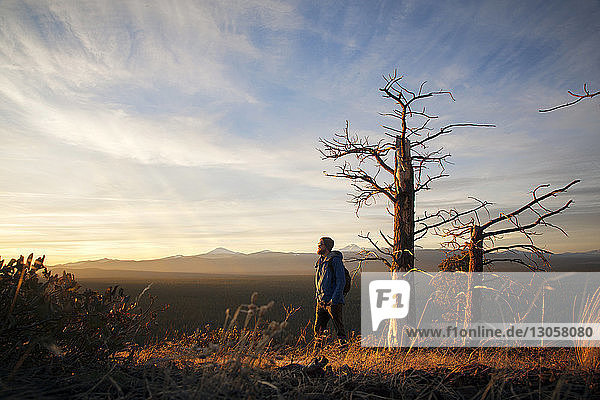Hiker walking on field by bare trees against sky