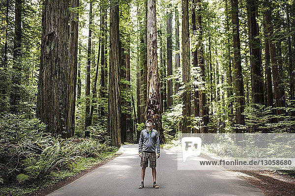 Man standing on street amidst trees in forest