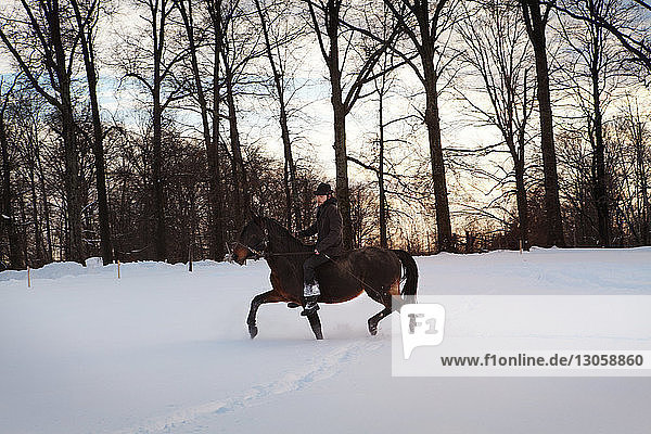 Mann reitet Pferd auf schneebedecktem Feld