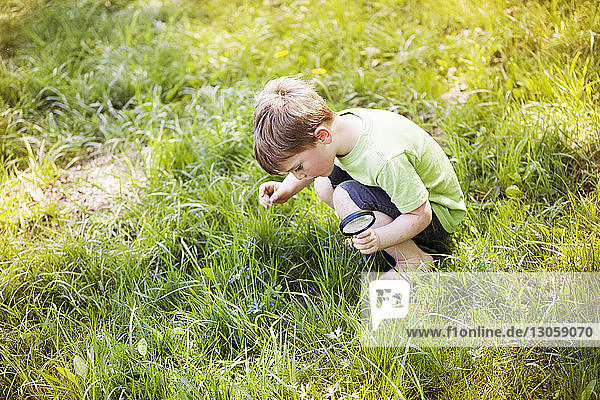 Hochwinkelansicht eines Jungen  der auf Gras schaut  während er eine Lupe hält