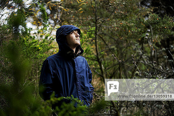 Man in hooded jacket looking away at forest
