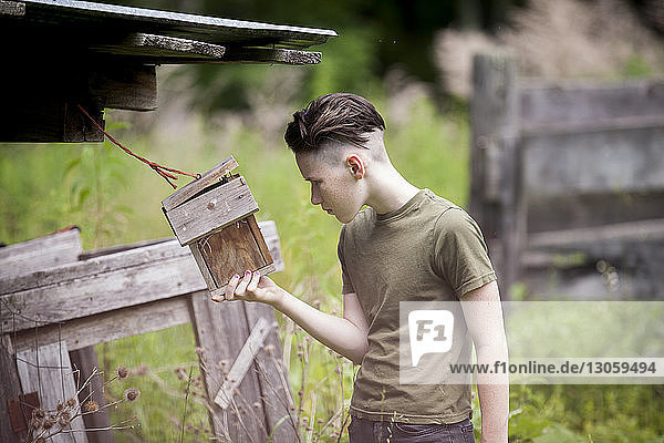 Jugendlicher Junge hält Vogelhaus  während er auf dem Feld steht