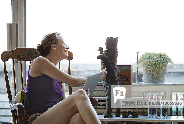 Glückliche Frau spielt mit Katze am Fenster