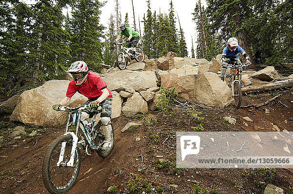 Mountain bikers cycling on rocks in forest
