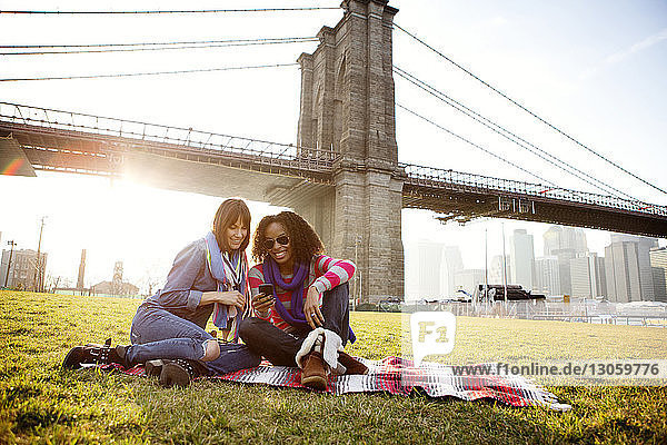 Freundinnen telefonieren  während sie im Park vor der Brooklyn Bridge sitzen