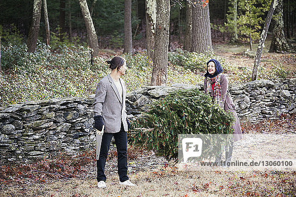 Couple carrying pine tree in forest