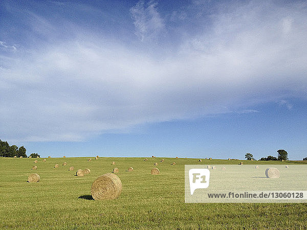 Hay bales on grassy field against blue sky