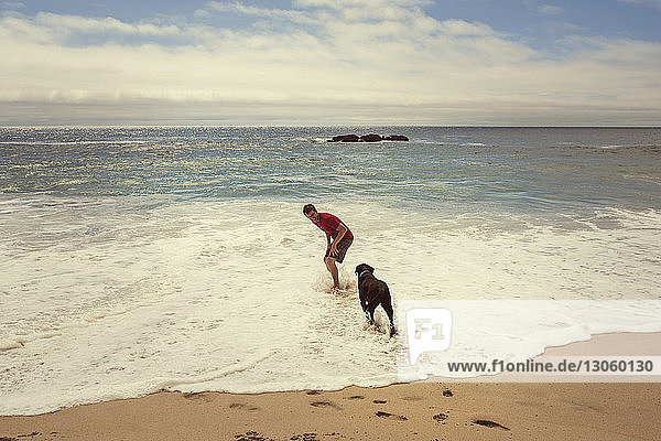 Man playing with dog on waves at shore